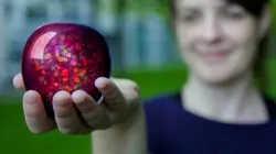 42, la réponse à presque tout La quantique change-t-elle notre réalité ?