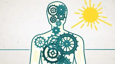 Quels sont les secrets de la lumière ?