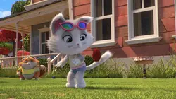 44 Chats S01E39 Le match de lance-pelote