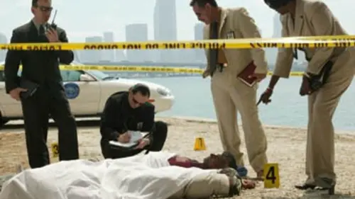 Enquêtes, les premières 48h S05E13 Dissimulation de preuve / Témoin en fuite