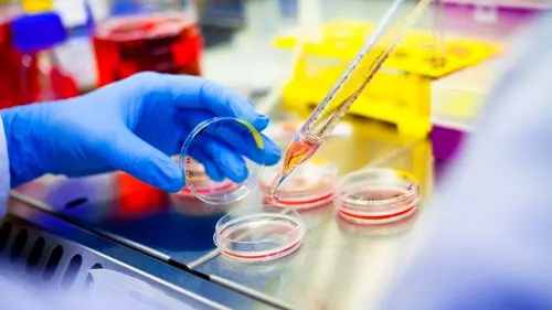 48 heures pour un crime : interrogatoires S01E13 L'ADN a parlé