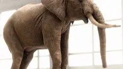 Visuel de 7 tonnes 2