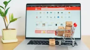 Temu, toujours moins cher... Mais à quel prix ?
