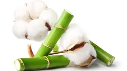 እንዴት ተሰራ ም.8