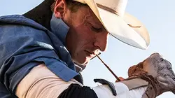 Visuel de 8 secondes et des poussières