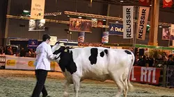 90' Enquêtes Salon de l'agriculture : dans la folie de l'évènement le plus populaire de France