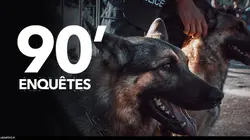 90' enquêtes Vols en série, agressions et coups de folie :la grande traque aux délinquants