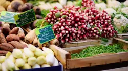 90' Enquêtes S13E284 Pièges à touristes et faux produits régionaux : comment éviter les arnaques ?