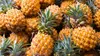 Kiwi, ananas, avocat : révélations sur les fruits exotiques préférés des Français