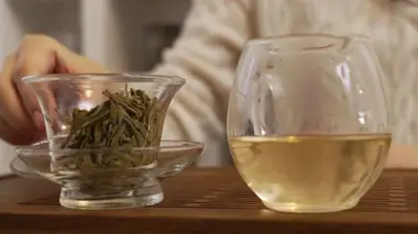 Thé vert, miracle de la nature ?