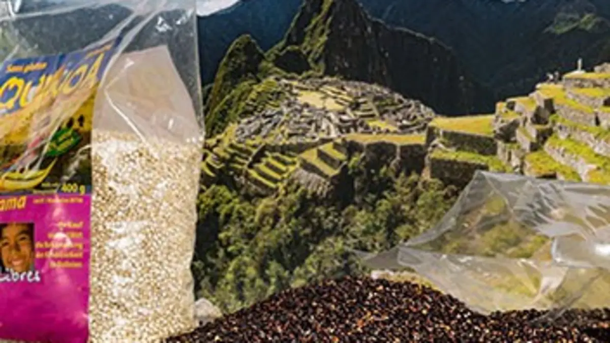A bon entendeur Quinoa, graine de star