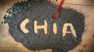 Chia et consoeurs, des petites graines qui voient grand !