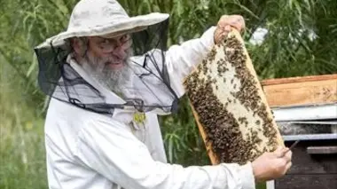 Miel, ne tournons pas autour du pot !