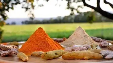 Gingembre, curcuma : des racines et des rêves ?