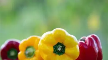 Un poivron farci, un poivron par là