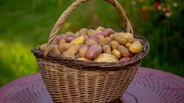 Bains thermaux : bulles en ébullition