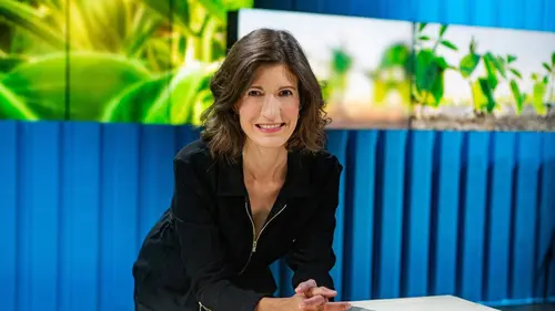 A bon entendeur Animaux de compagnie : combien chat coûte ?