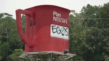 Le goût amer du Nescafé