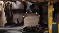 A bon entendeur Le revers du cuir