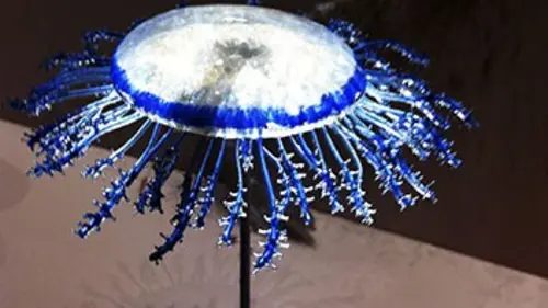 A chacun son trésor Canada, Chili, Europe