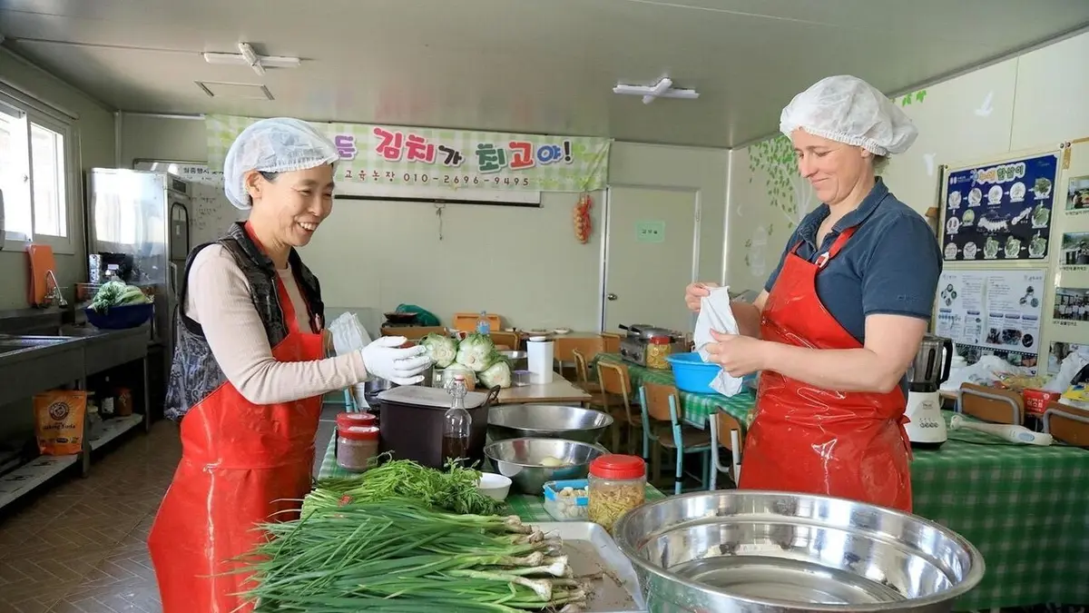 A chaque pays sa recette ! Chou fermenté allemand et kimchi coréen