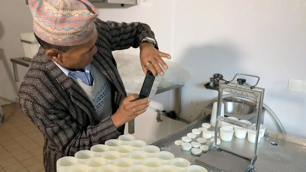 A chaque pays sa recette ! Fromage de chèvre népalais et chèvres français