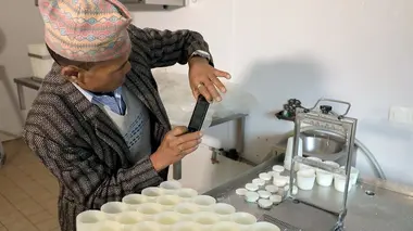 Fromage de chèvre népalais et chèvres français