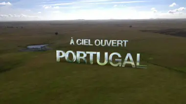 A ciel ouvert