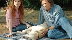 Visuel de A Dog Year