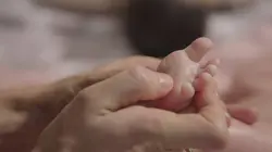 À fleur de peau : Une histoire des caresses, câlins et autres étreintes