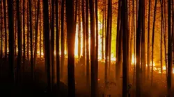 A l'assaut du feu par les airs