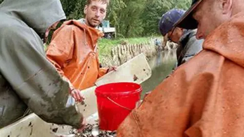 A l'aube au bord des étangs de Rietschen