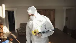 A l'école de l'enquête