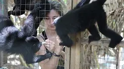 Visuel de A l'école de la vie sauvage