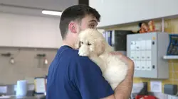 A l'école des chiens guides