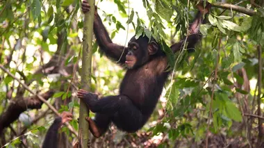 La saison des changements