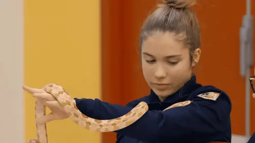 A l'école des pompiers Prendre confiance