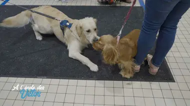 Et la jolie Nana s'envole