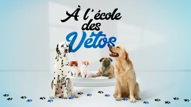 A l'école des vétos