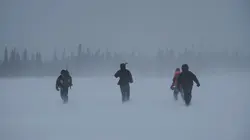 A l'épreuve d'une tribu Best of