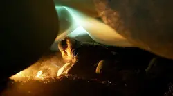 A l'épreuve d'une tribu Extraordinaires aliments