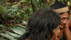 A l'épreuve d'une tribu Les maîtres de la forêt