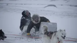 A l'épreuve d'une tribu Outils de survie