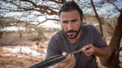 A l'épreuve d'une tribu E02 La forêt des extrêmes