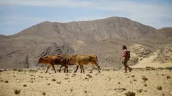 A l'épreuve d'une tribu Canyon hostile