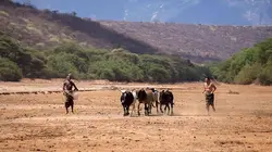 A l'épreuve d'une tribu Le sang du guerrier