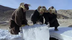 A l'épreuve d'une tribu