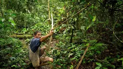 A l'épreuve d'une tribu Le sacrifice de la jungle en streaming