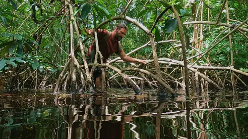 A l'épreuve d'une tribu : Amazonie Labyrinthe de mangroves