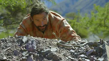 Les flammes des salars